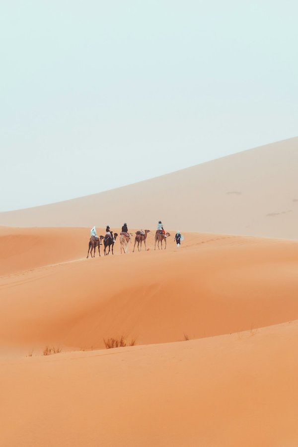 Quels conseils sont essentiels pour un trek en autonomie dans les montagnes de l'Altai, Mongolie?